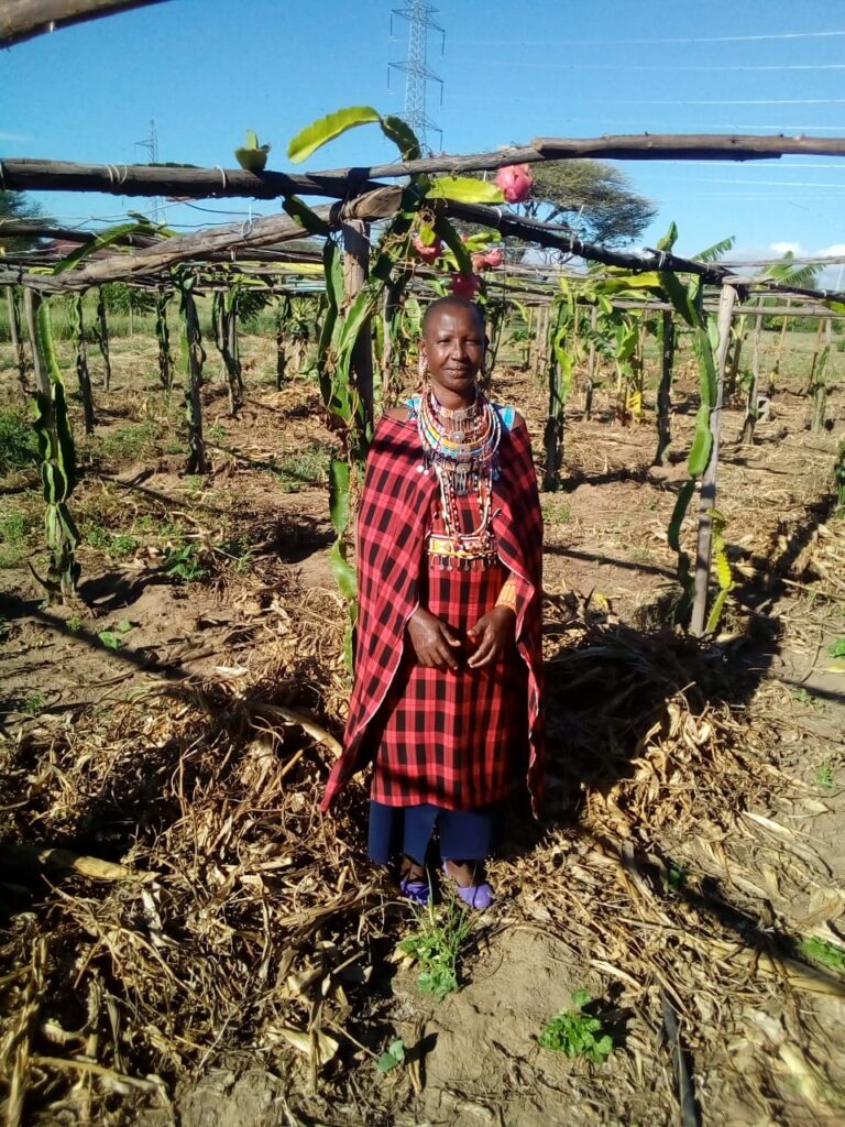 faithsiele project 02 15 04 2025